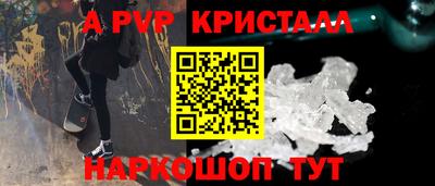 соль ск Кингисепп