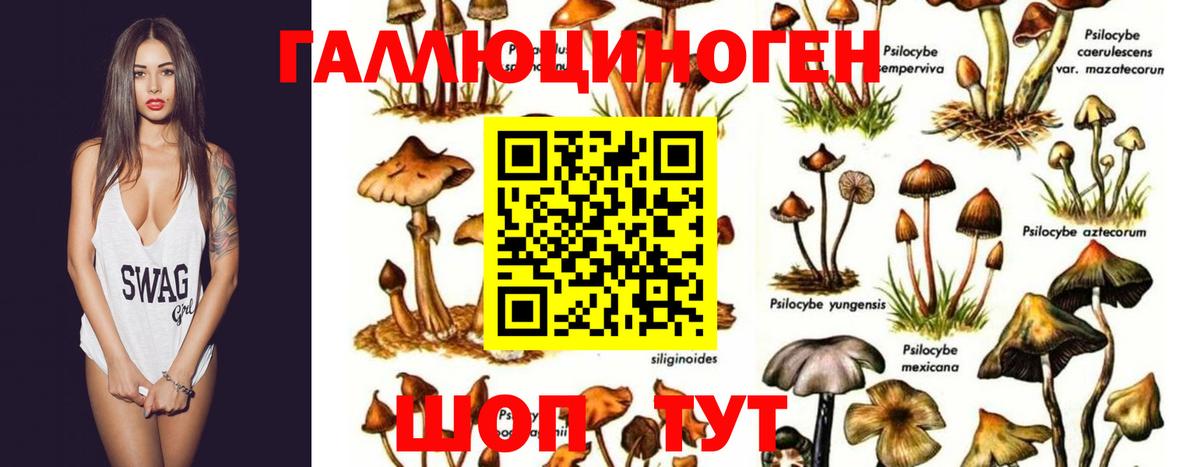 Галлюциногенные грибы мухоморы Еманжелинск