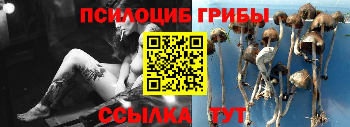 Псилоцибиновые грибы ЛСД  Галлюциногенные грибы мухоморы  Вход с VPN  Еманжелинск 